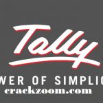 Tally ERP 9 Crack - Crackzoom.com