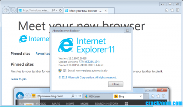 Internet Explorer Crack - Crackzoom.com